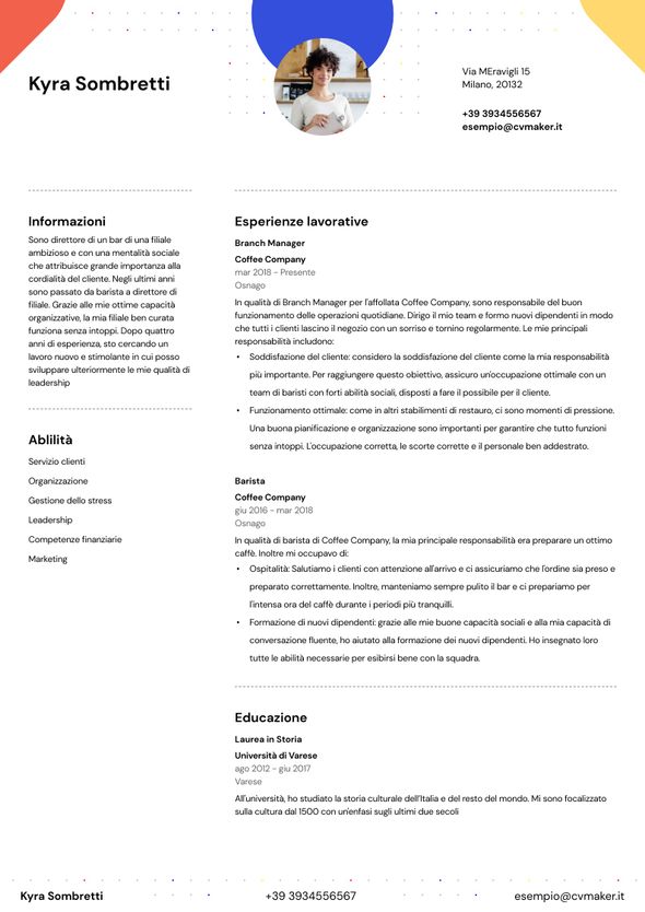 CV esperienza media