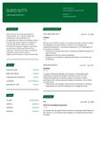 Esempio di CV - Guido Sutti