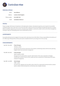 Kies voor template Princeton en maak een professioneel cv