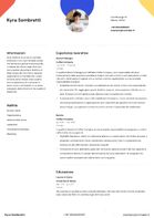 CV Template