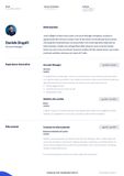 Esempio di CV - Account manager